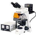 Mikroskop fluorescencyjny Bresser Science ADL-601F 40x-1000x