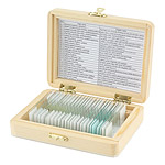 Zestaw 25 preparat�w biologicznych drewnianej walizce (preparaty biologiczne, SKU: DO-4100)