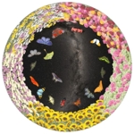 Flowers and Butterflies - dysk do planetarium Sega Toys (Astrial)