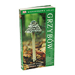 Kieszonkowy atlas grzyb�w - wyd. Solis