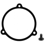 EFW Masks for ZWO EFW 7x36 mm