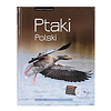 Ptaki Polski - Encyklopedia ilustrowana Andrzej G. Kruszewicz (Multico)